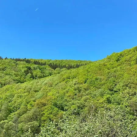 Ferienwohnung-eichheck *