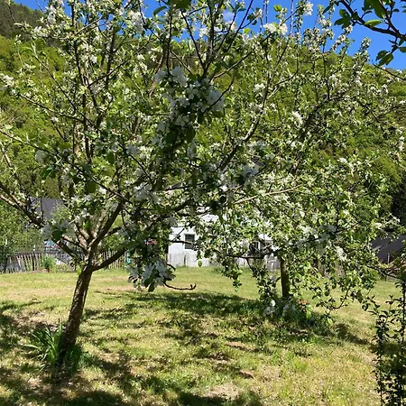 Apartamento Ferienwohnung-eichheck *