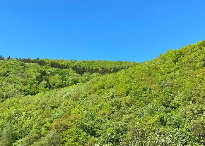 Ferienwohnung-eichheck *