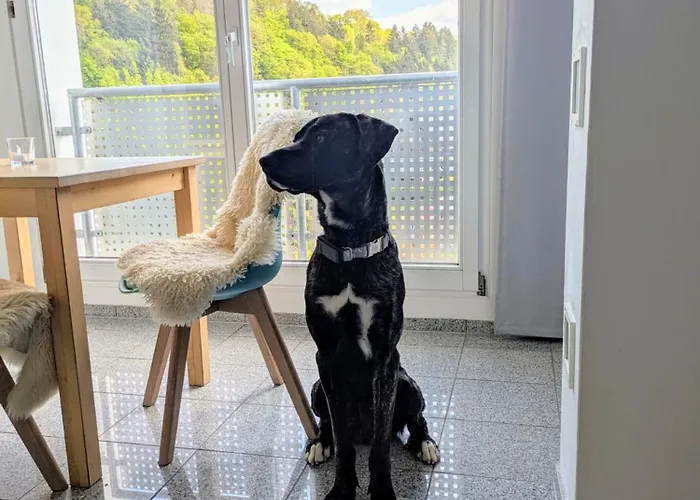 Ferienwohnung-eichheck Simmerath